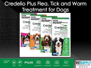 Credelio Plus Flea, Tick, and Worm Treatment for Dogs| Dog Supplies | VetSupply