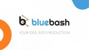 Bluebash - EHR Software solutions Company In USA