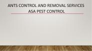 Ants Control and Removal Services - ASA Pest Control