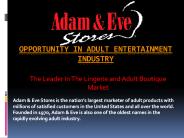 Opportunity in Adult Entertainment Industry (1)