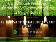 Desenvoutement Magie Noire
