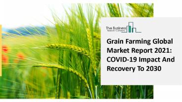 Global Grain Farming Market Report 2021-2030 | Growth and Trends