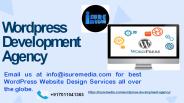 WordPress Development Agency - WordPress website development