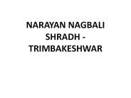 NARAYAN NAGBALI SHRADH - TRIMBAKESHWAR