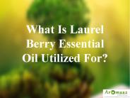What Is Laurel Berry Essential Oil Utilized For?