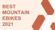 Best Mountain E-Bikes 2021