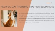 HELPFUL CAT TRAINING TIPS FOR BEGINNERS