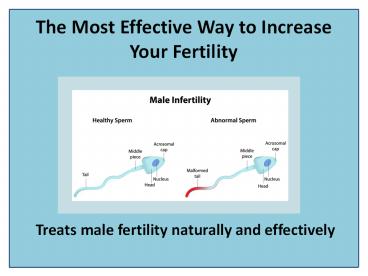 Increase Male Fertility with Sperm Enhancement Capsule