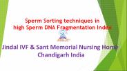 Sperm Preparation in High DFI | Jindal IVF