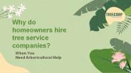 Why do homeowners hire tree service companies