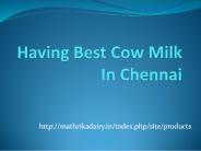 HAVING BEST COW MILK IN CHENNAI