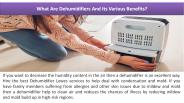 What Are Dehumidifiers And Its Various Benefits?