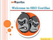 SEO Company Toronto | seogorillas.com (1)