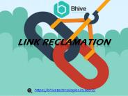 Link Reclamation_bhivetechnologies