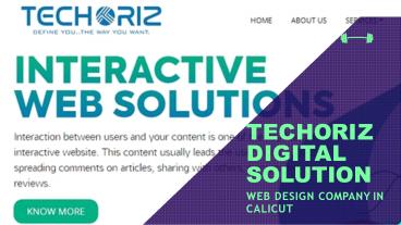 Web Design Company in calicut-Techoriz