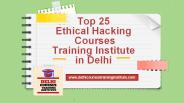 Top 25 Ethical Hacking Courses Training Institute in Delhi