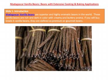 Madagascar Vanilla Beans: Beans with Extensive Cooking & Baking Applications