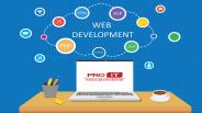 Why PRO IT MELBOURNE? Web Development Australia
