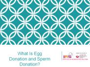 What Is Egg Donation and Sperm Donation?