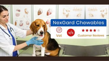 NexGard Chewables: Vet v/s Customer Reviews