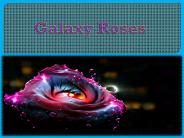 Galaxy Roses