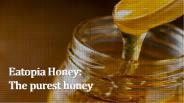 Eatopia Honey: The purest honey