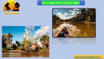 Eco Jungle Tours 2day1 Night