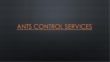 Ants control Services Saskatoon | ASA Pest Control (1)