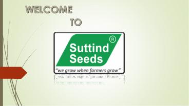 Suttind Seeds
