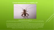 Pest Exterminator Los Angeles, CA