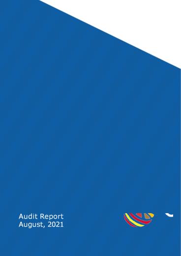 Citrus Token - Audit Report PDF