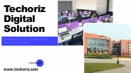 Best Digital Marketing Agency in Calicut-Techoriz