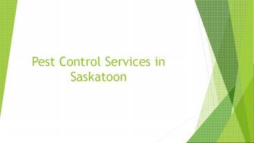 We offers Commercial Industrial Residential Pest Control Services in Saskatoon