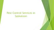 We offers Commercial Industrial Residential Pest Control Services in Saskatoon