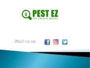 Get Carpenter Ants Removal Service in Milford