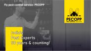 Fly pest control service - PECOPP