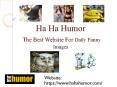 100+ Best Daily Funny Images On today's store- #HaHaHumor PowerPoint PPT Presentation