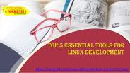 TOP 5 ESSENTIAL TOOLS FOR LINUX DEVELOPMENT