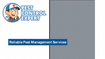 Reliable Pest Management Services - Pest Control Expert