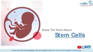Know The Facts About Stem Cells