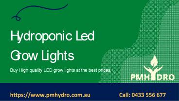 LED Grow Lights Australia – PMHydro