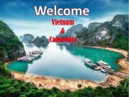 alisha911
