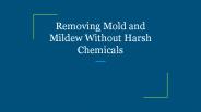Removing Mold and Mildew Without Harsh Chemicals