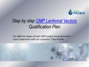 Step by step GMP lentiviral vectors qualification plan