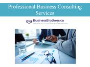Professional Business Consulting Services