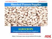 Blanched Peanuts Supplier