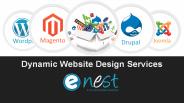 Dynamic Website Design Services