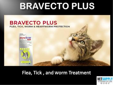 Bravecto Plus for Cats - Flea, Tick, and Worm Treatment | Pet Care | VetSupply