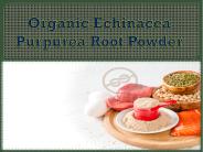 Organic Echinacea Purpurea Root Powder