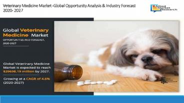 Veterinary Medicine Market Overview